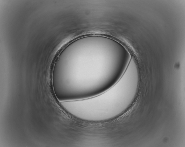 X0000095891173200801110821