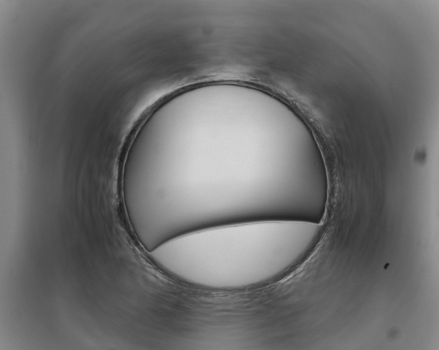 X0000095891174200801110821