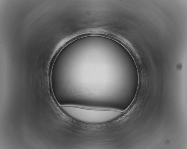 X0000095891176200801110821