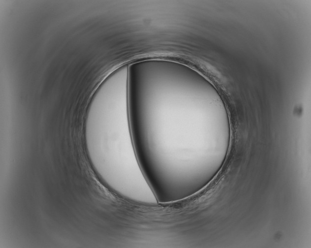 X0000095891177200801110821