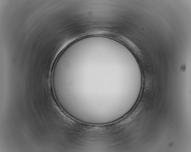 X0000095891178200801110821