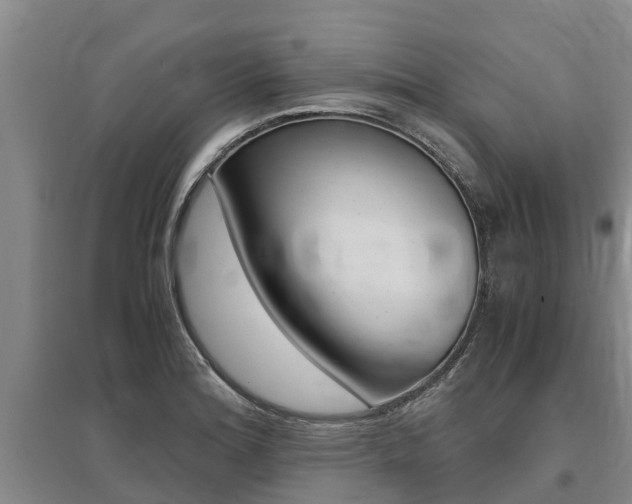 X0000095891180200801110821