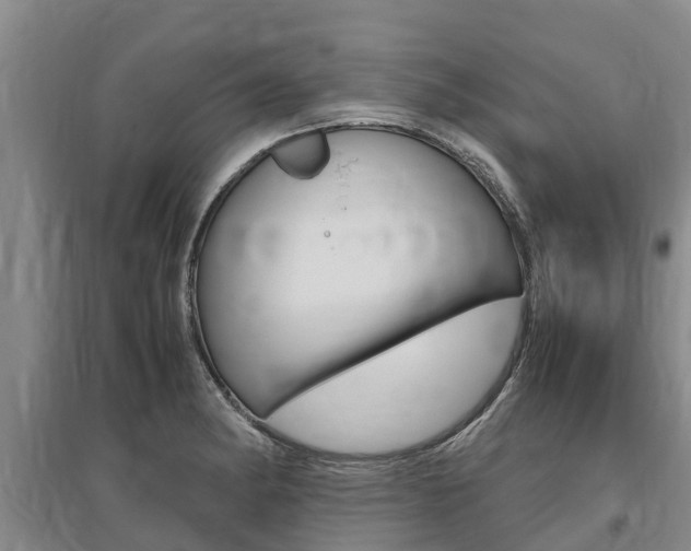 X0000095891182200801110821