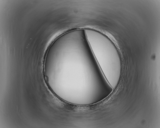 X0000095891183200801110821