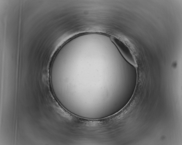 X0000095891184200801110821