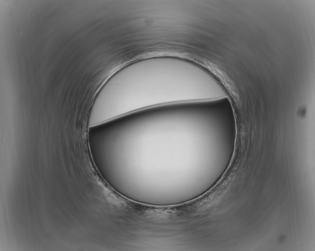 X0000095891185200801110821