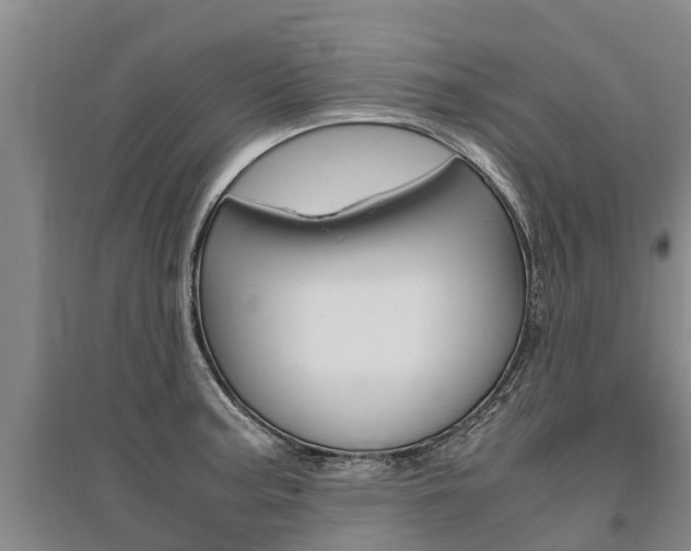 X0000095891187200801110821