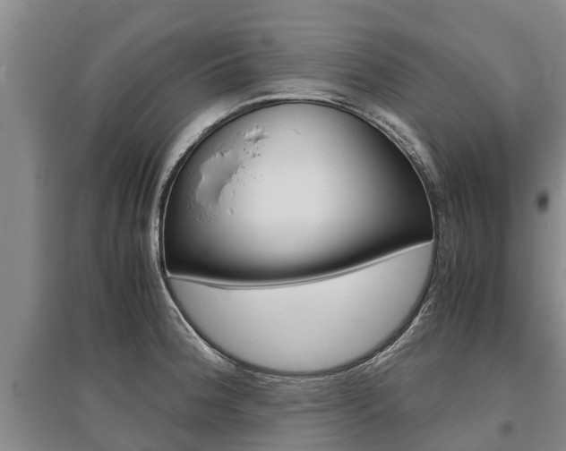 X0000095891188200801110821