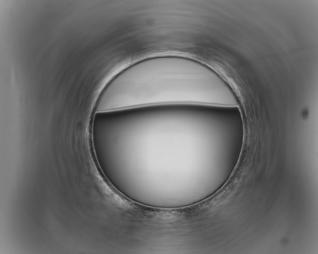 X0000095891189200801110821