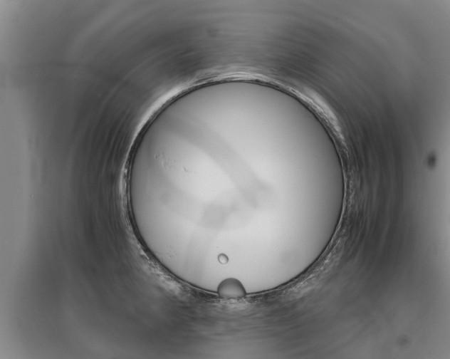 X0000095891190200801110821