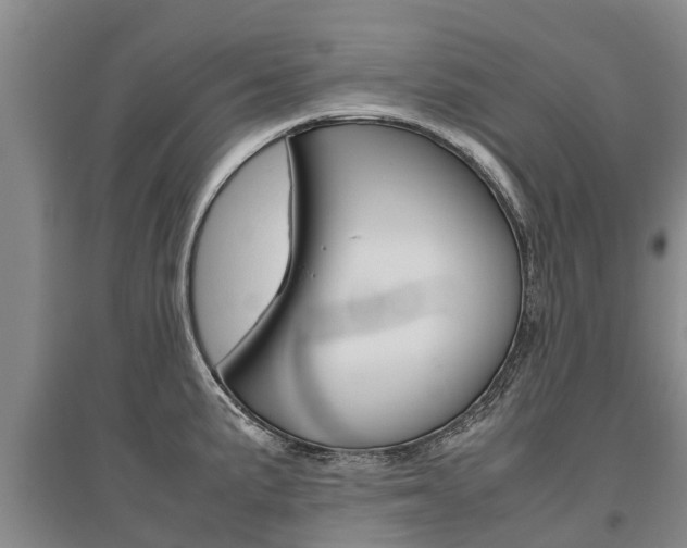 X0000095891191200801110821