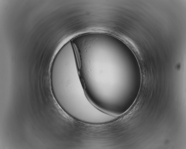X0000095891192200801110821