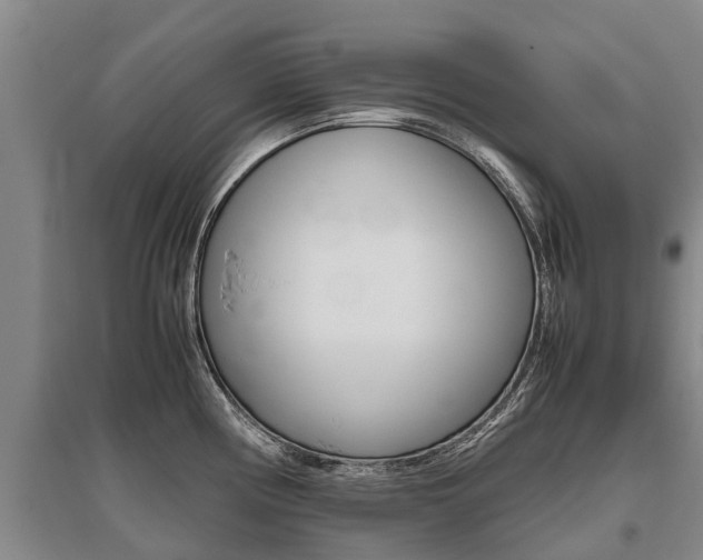 X0000095891194200801110821