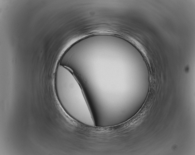 X0000095891195200801110821