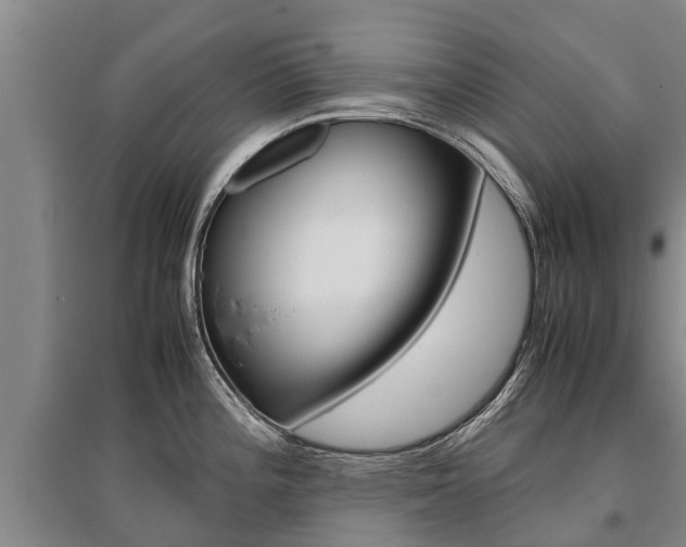 X0000095891196200801110821
