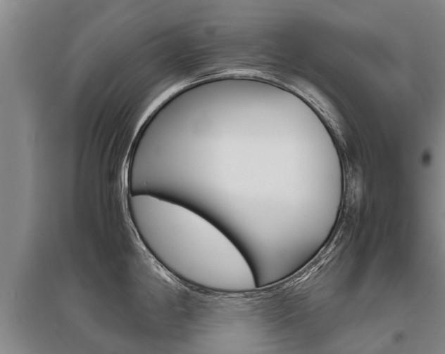 X0000095891198200801110821