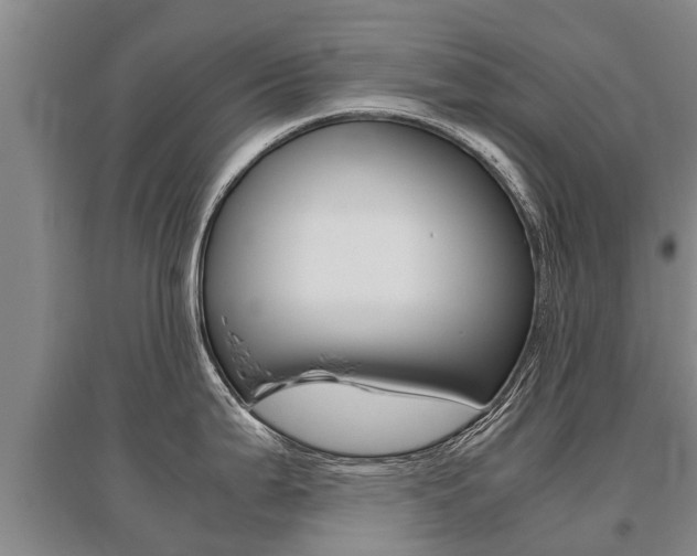 X0000095891199200801110821