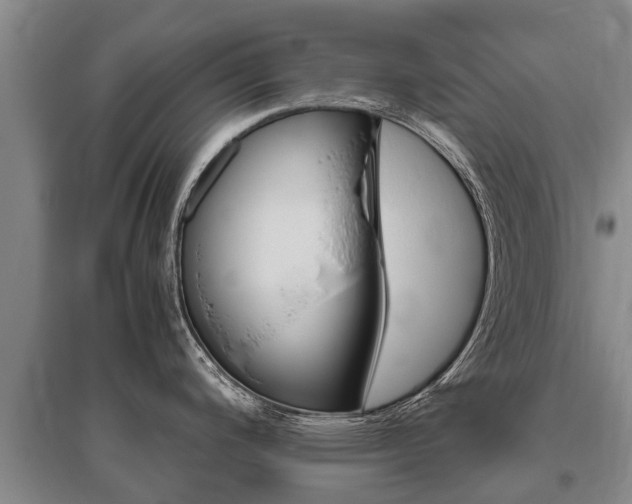 X0000095891200200801110821