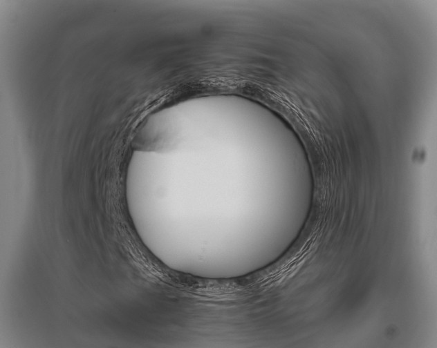 X0000095891201200801110820