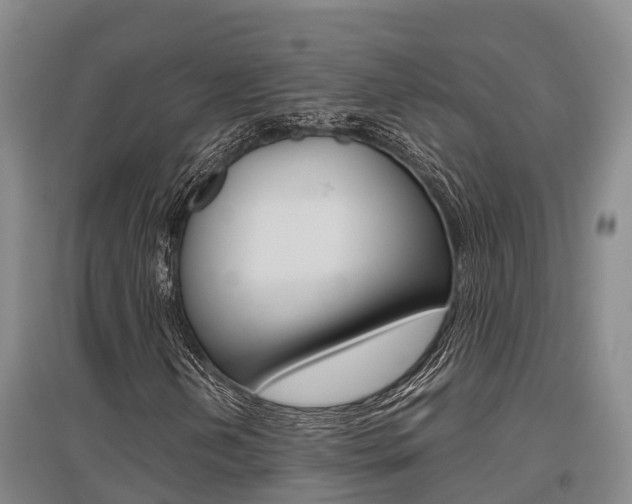 X0000095891202200801110820