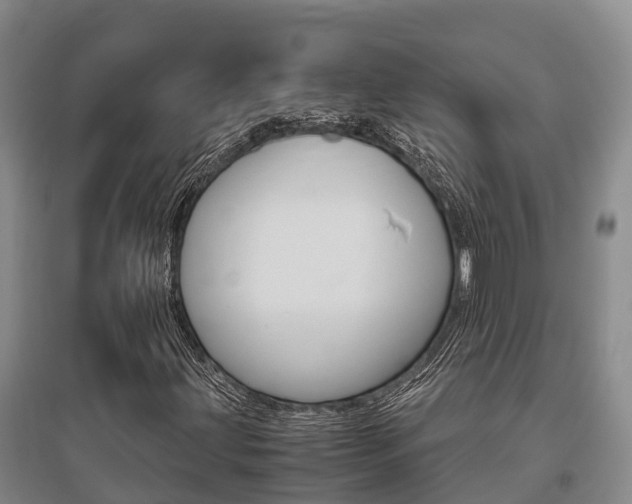 X0000095891203200801110820
