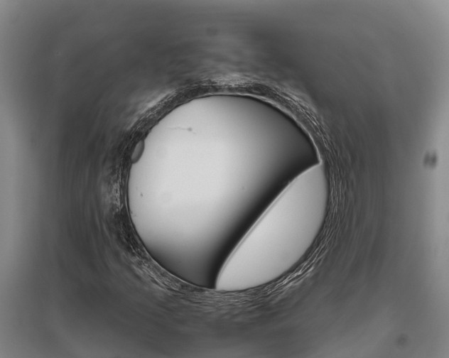 X0000095891205200801110820