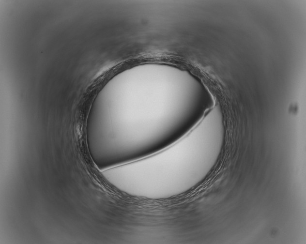 X0000095891206200801110820