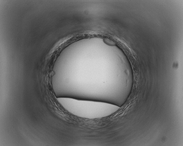 X0000095891207200801110820