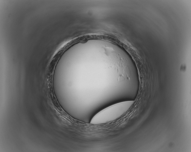 X0000095891208200801110820