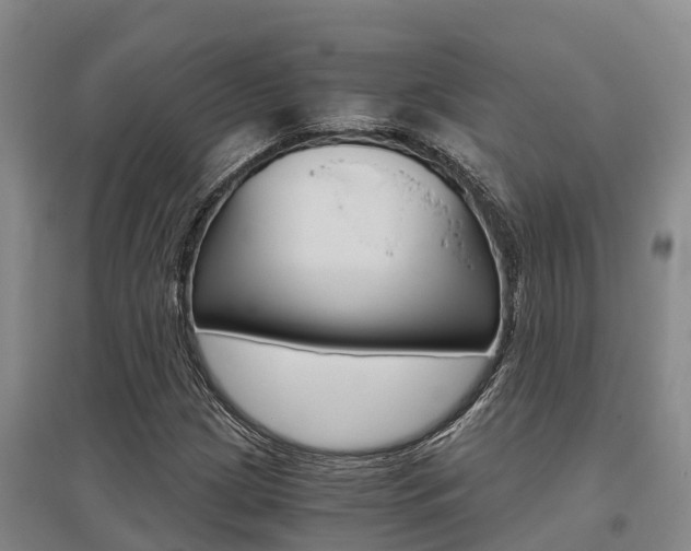 X0000095891209200801110820