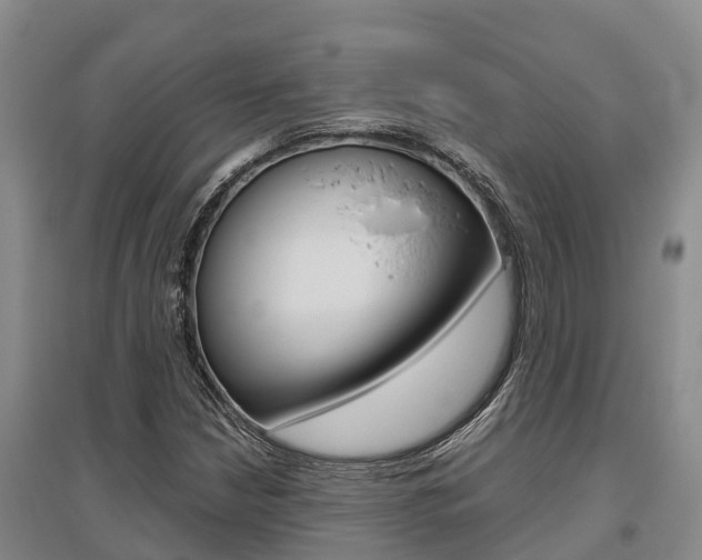 X0000095891210200801110820