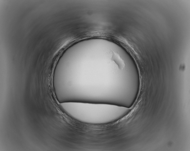 X0000095891211200801110820
