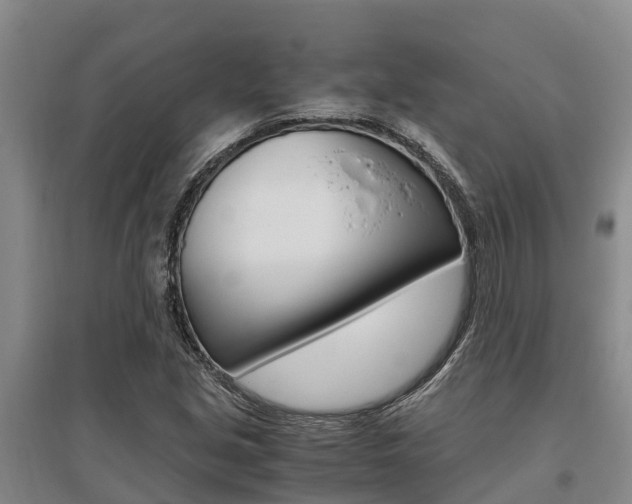X0000095891213200801110820