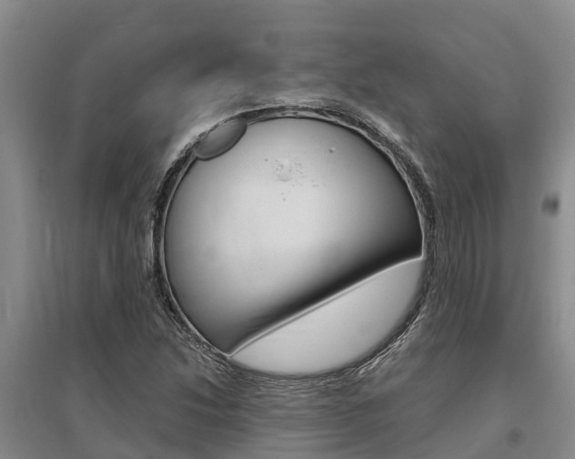 X0000095891214200801110820