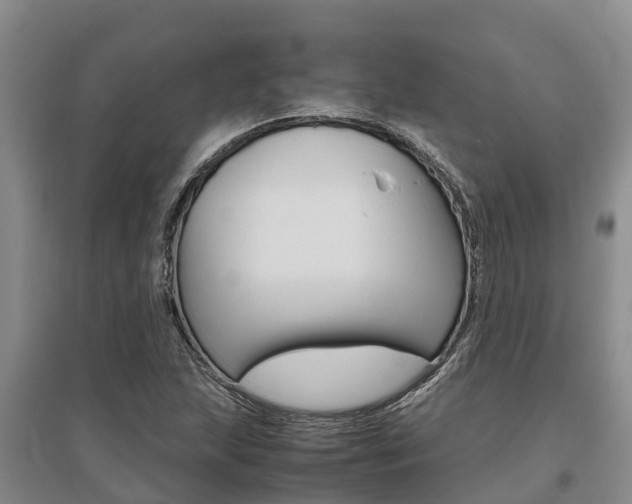 X0000095891215200801110820