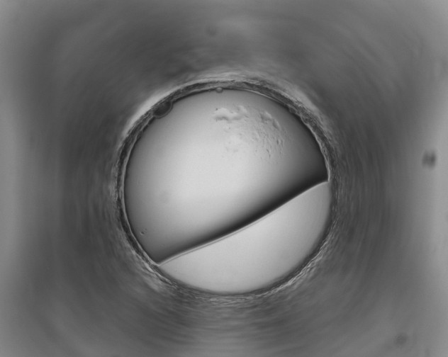 X0000095891216200801110820