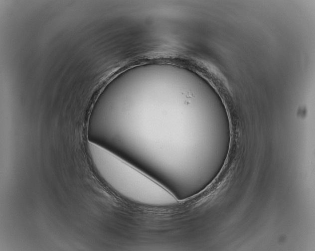 X0000095891217200801110820