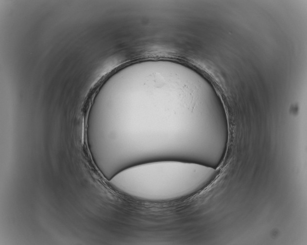 X0000095891219200801110821