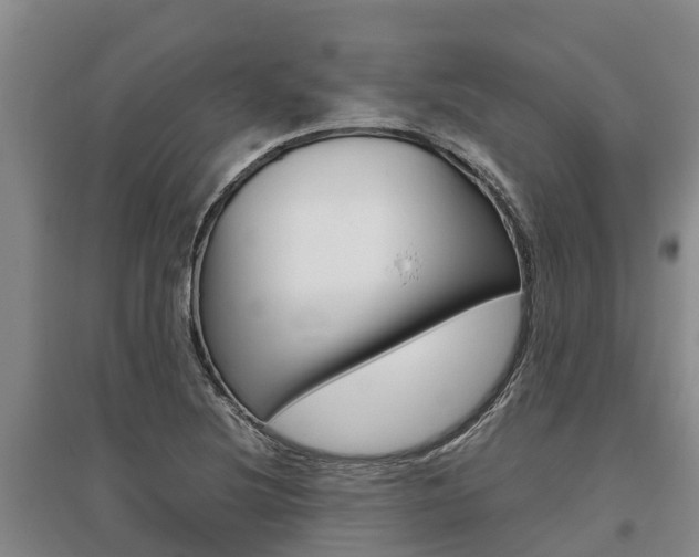 X0000095891220200801110821