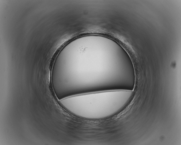 X0000095891221200801110821