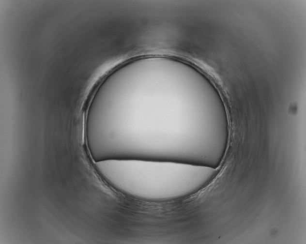 X0000095891223200801110821