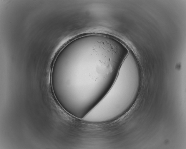X0000095891224200801110821