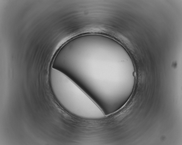 X0000095891226200801110821