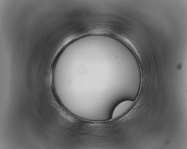 X0000095891227200801110821