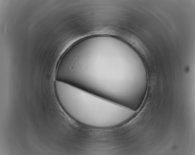 X0000095891228200801110821