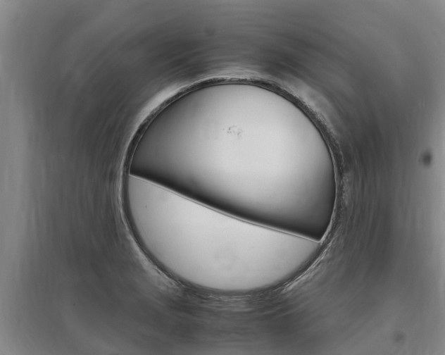 X0000095891229200801110821
