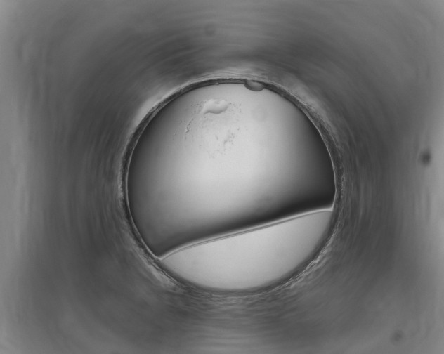 X0000095891230200801110821