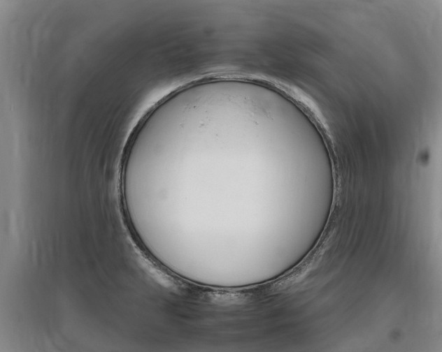 X0000095891231200801110821