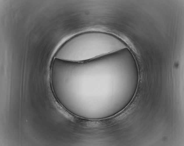 X0000095891232200801110821