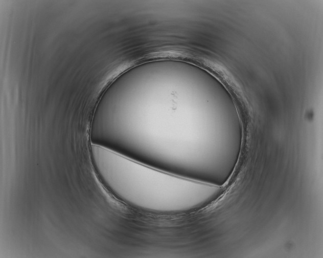 X0000095891233200801110821